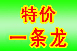 1604037960153161.png